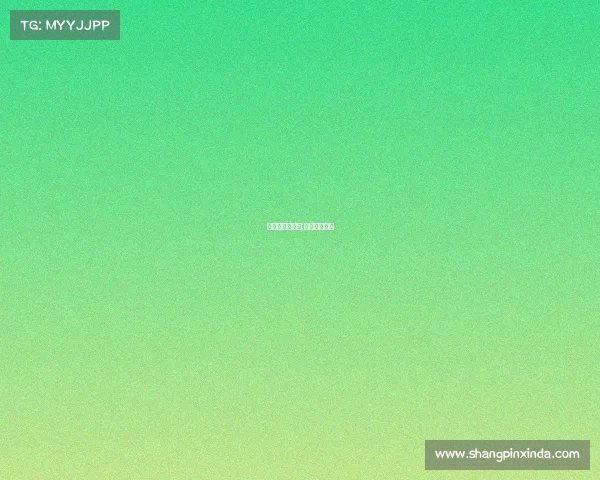 精武门赛事规则;精武门俱乐部